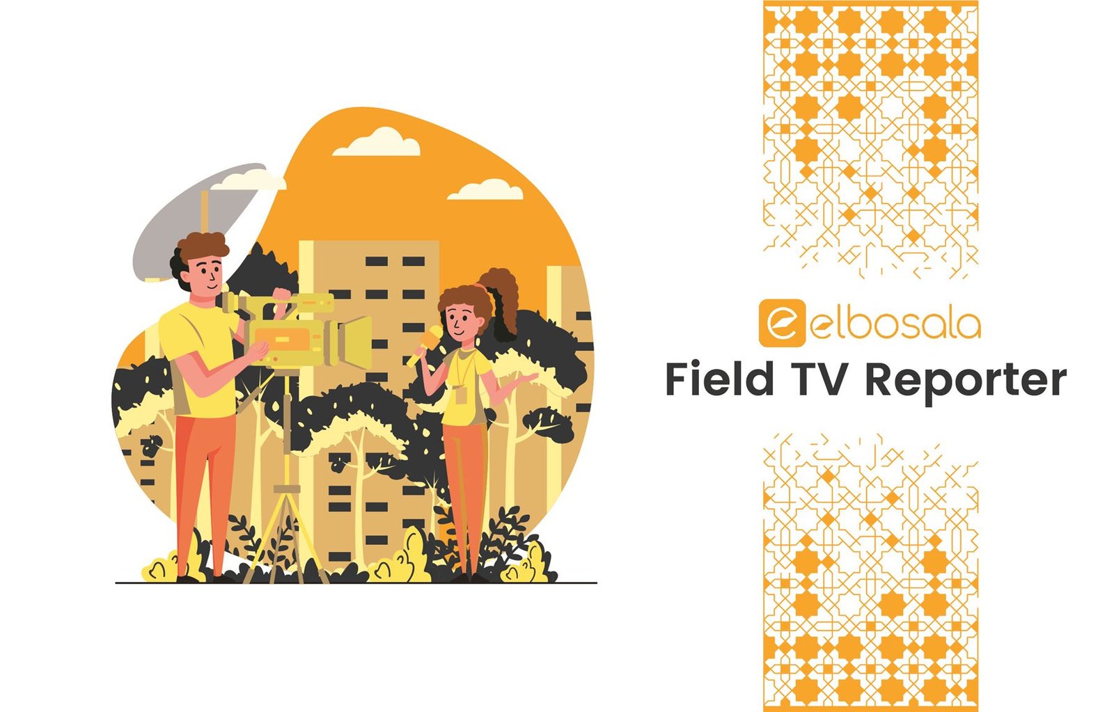 Field TV Reporter